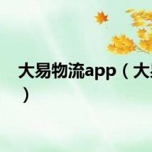 大易物流app（大易w1）