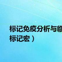 标记免疫分析与临床（标记宏）