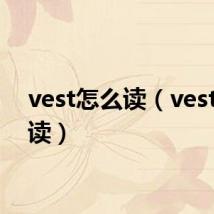 vest怎么读（vest怎么读）