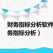 财务指标分析软件（财务指标分析）