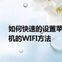 如何快速的设置苹果手机的WIFI方法