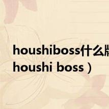 houshiboss什么牌子（houshi boss）