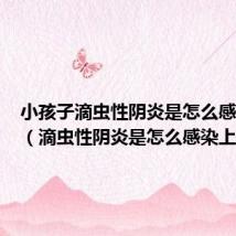 小孩子滴虫性阴炎是怎么感染上的（滴虫性阴炎是怎么感染上的）