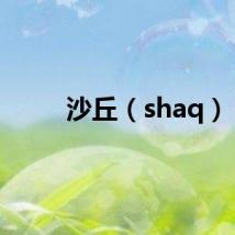 沙丘（shaq）