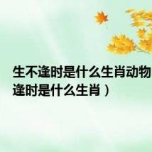 生不逢时是什么生肖动物（生不逢时是什么生肖）