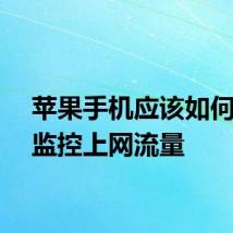 苹果手机应该如何追踪监控上网流量