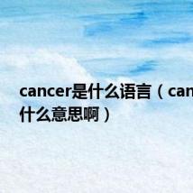 cancer是什么语言（cancer是什么意思啊）