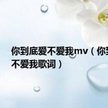 你到底爱不爱我mv（你到底爱不爱我歌词）