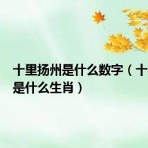 十里扬州是什么数字（十里扬州是什么生肖）