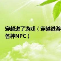 穿越进了游戏（穿越进游戏里干各种NPC）