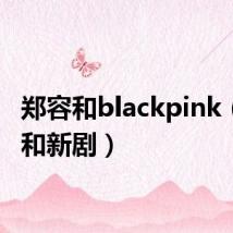 郑容和blackpink（郑容和新剧）