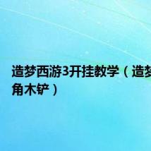 造梦西游3开挂教学（造梦西游3角木铲）