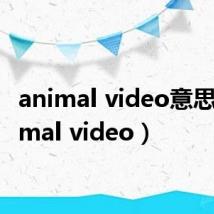 animal video意思（animal video）