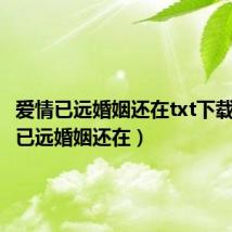 爱情已远婚姻还在txt下载（爱情已远婚姻还在）