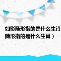 如影随形指的是什么生肖（如影随形指的是什么生肖）