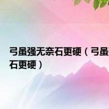 弓虽强无奈石更硬（弓虽强怎奈石更硬）