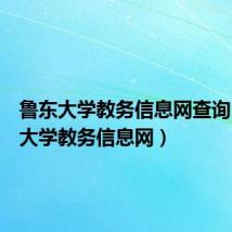 鲁东大学教务信息网查询（鲁东大学教务信息网）