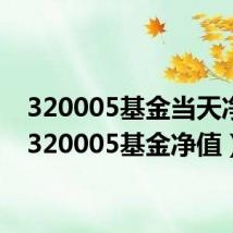 320005基金当天净值（320005基金净值）