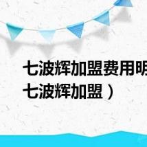 七波辉加盟费用明细（七波辉加盟）