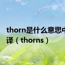 thorn是什么意思中文翻译（thorns）