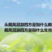 头戴凤冠游四方是指什么数字（头戴凤冠游四方是指什么生肖）