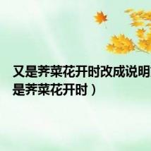 又是荠菜花开时改成说明文（又是荠菜花开时）