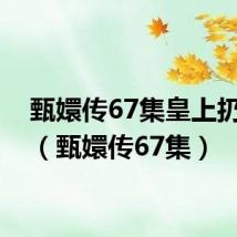 甄嬛传67集皇上扔帕子（甄嬛传67集）