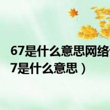 67是什么意思网络词（67是什么意思）