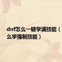 dnf怎么一键学满技能（dnf怎么学强制技能）