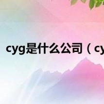 cyg是什么公司（cyg）