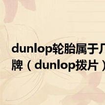 dunlop轮胎属于几线品牌（dunlop拨片）