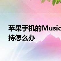 苹果手机的Music不支持怎么办