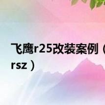 飞鹰r25改装案例（飞鹰rsz）