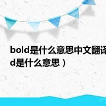 bold是什么意思中文翻译（bold是什么意思）