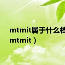 mtmit属于什么档次（mtmit）