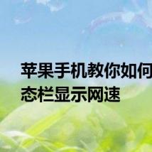 苹果手机教你如何在状态栏显示网速