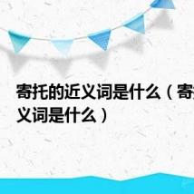 寄托的近义词是什么（寄托的近义词是什么）