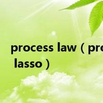 process law（process lasso）