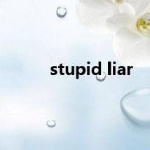 stupid liar