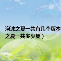 泡沫之夏一共有几个版本（泡沫之夏一共多少集）