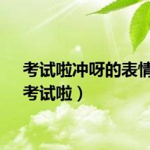 考试啦冲呀的表情包（考试啦）