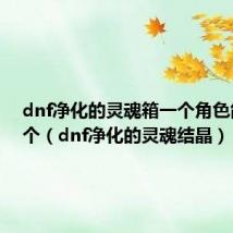 dnf净化的灵魂箱一个角色能换几个（dnf净化的灵魂结晶）