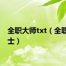 全职大师txt（全职大骑士）