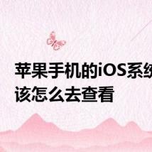 苹果手机的iOS系统版本该怎么去查看