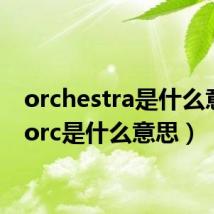 orchestra是什么意思（orc是什么意思）