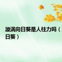 漩涡向日葵是人柱力吗（漩涡向日葵）