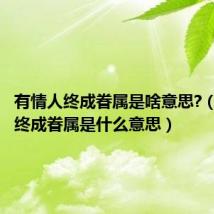 有情人终成眷属是啥意思?（有情人终成眷属是什么意思）