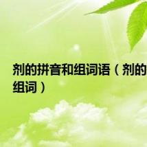 剂的拼音和组词语（剂的拼音和组词）