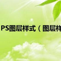 PS图层样式（图层样式）