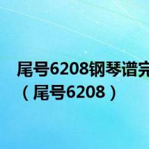 尾号6208钢琴谱完整版（尾号6208）